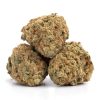 Orange Cookies Strain