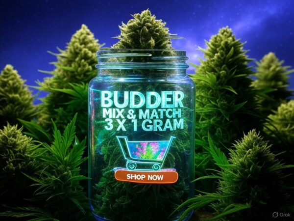 MIX AND MATCH: Budder (3 x 1 gram)