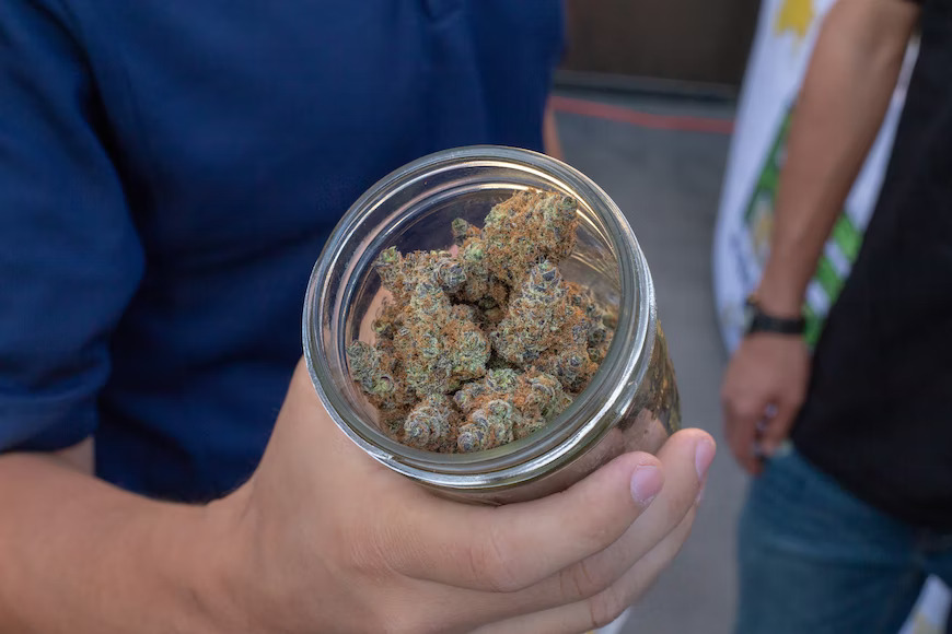How to Tell If Your Bud Is Fresh or Not