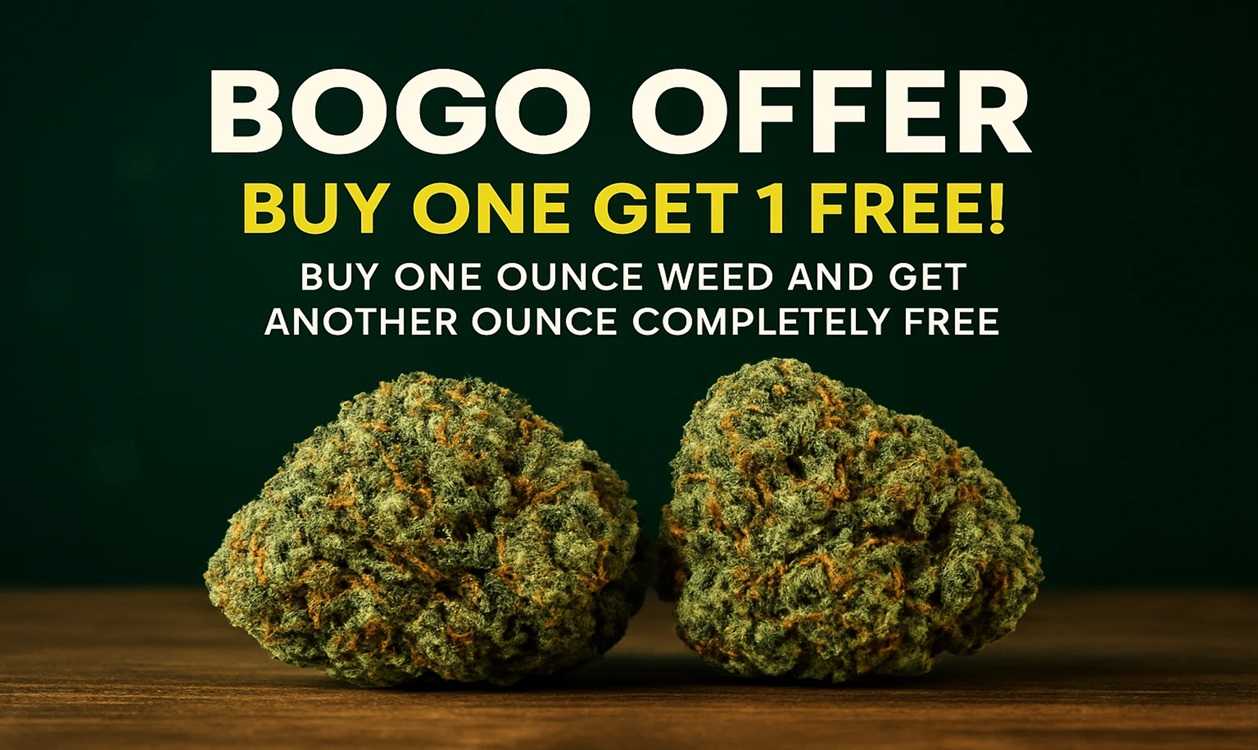 BOGO OFFER